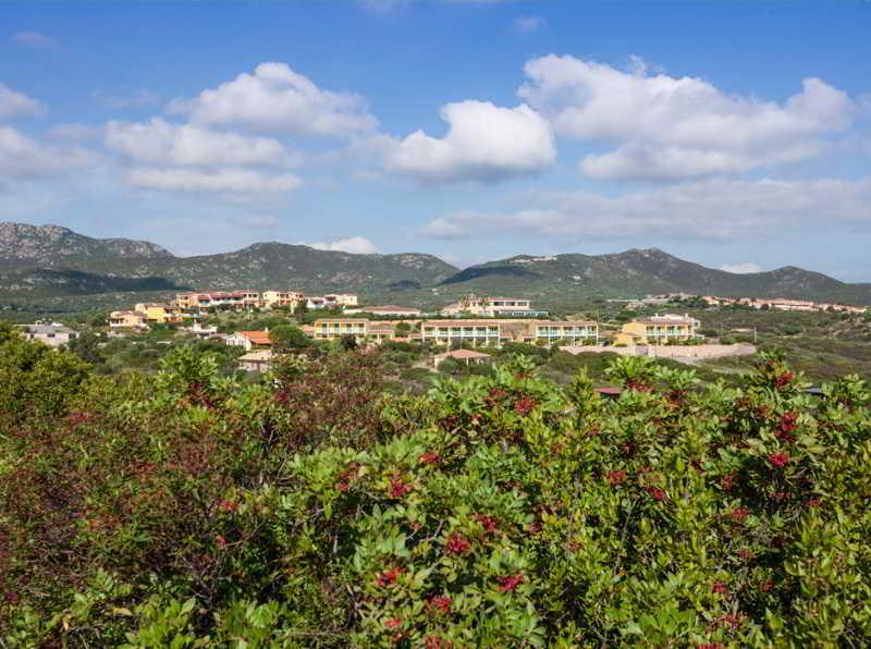 Club Hotel Baia Aranzos Golfo Aranci Eksteriør billede